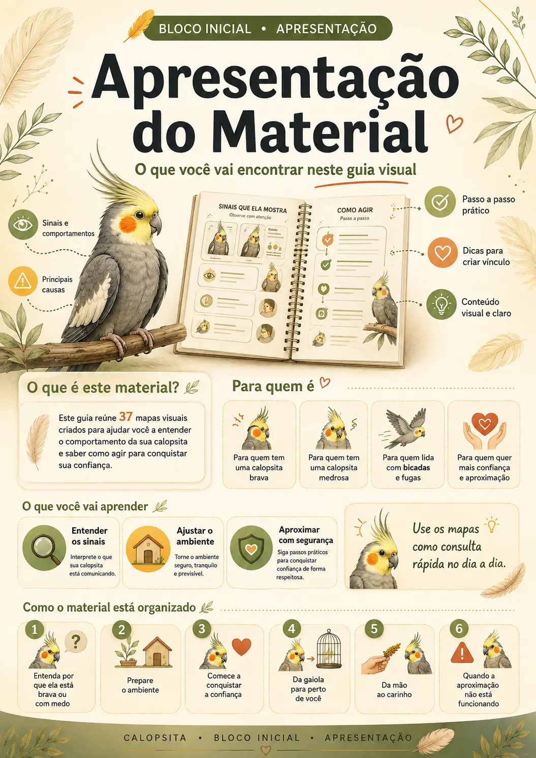 Página de apresentação do material: o que você vai encontrar no guia visual