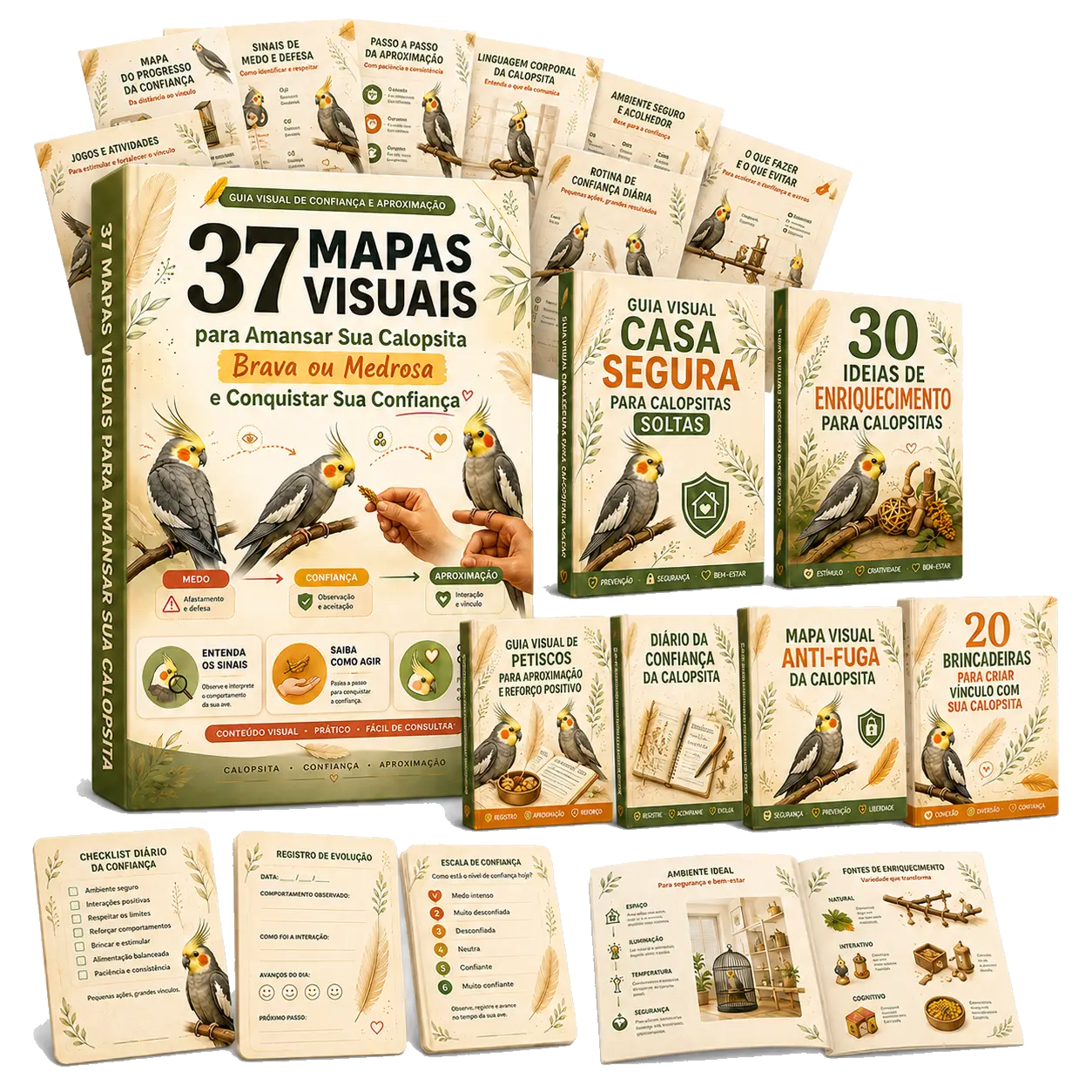 Mockup do plano completo dos 37 mapas visuais com os 6 bônus