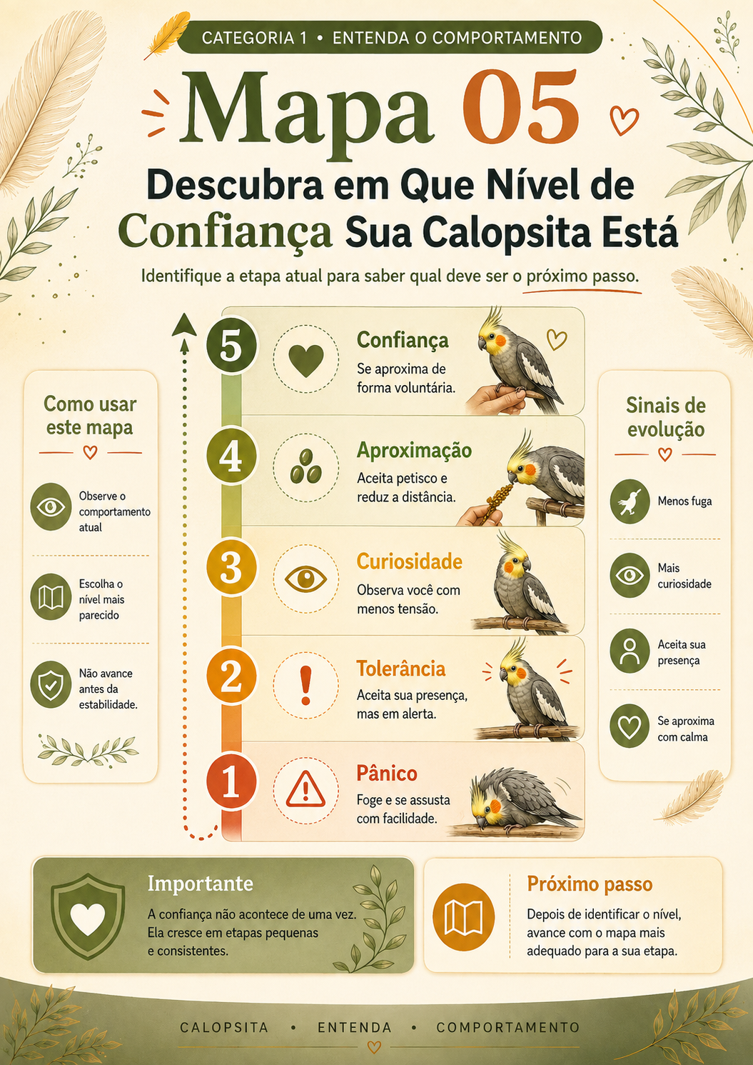 Mapa 05: descubra em que nível de confiança sua calopsita está