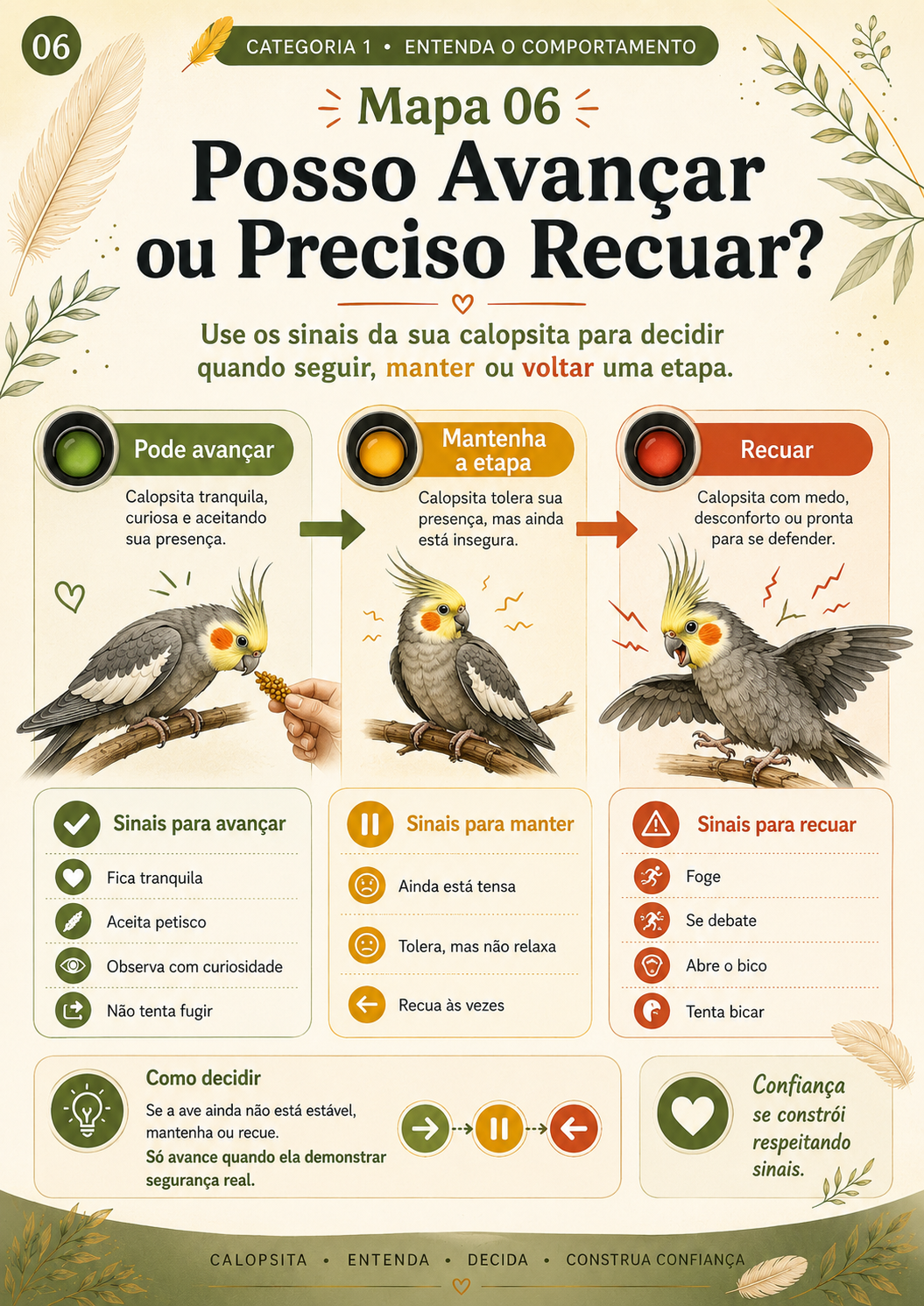 Mapa 06: posso avançar ou preciso recuar