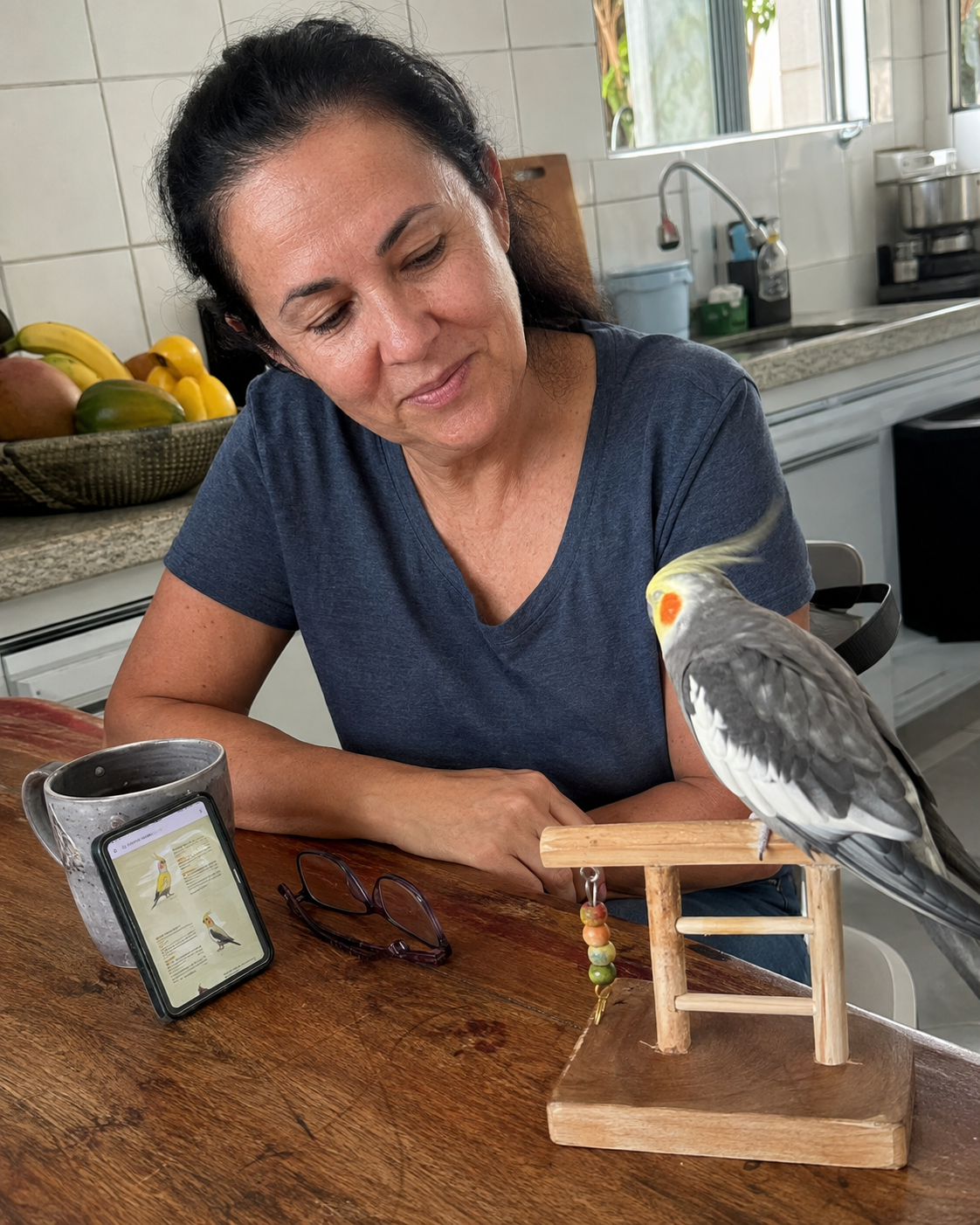 Tutora observando a calopsita no poleiro com os mapas abertos no celular