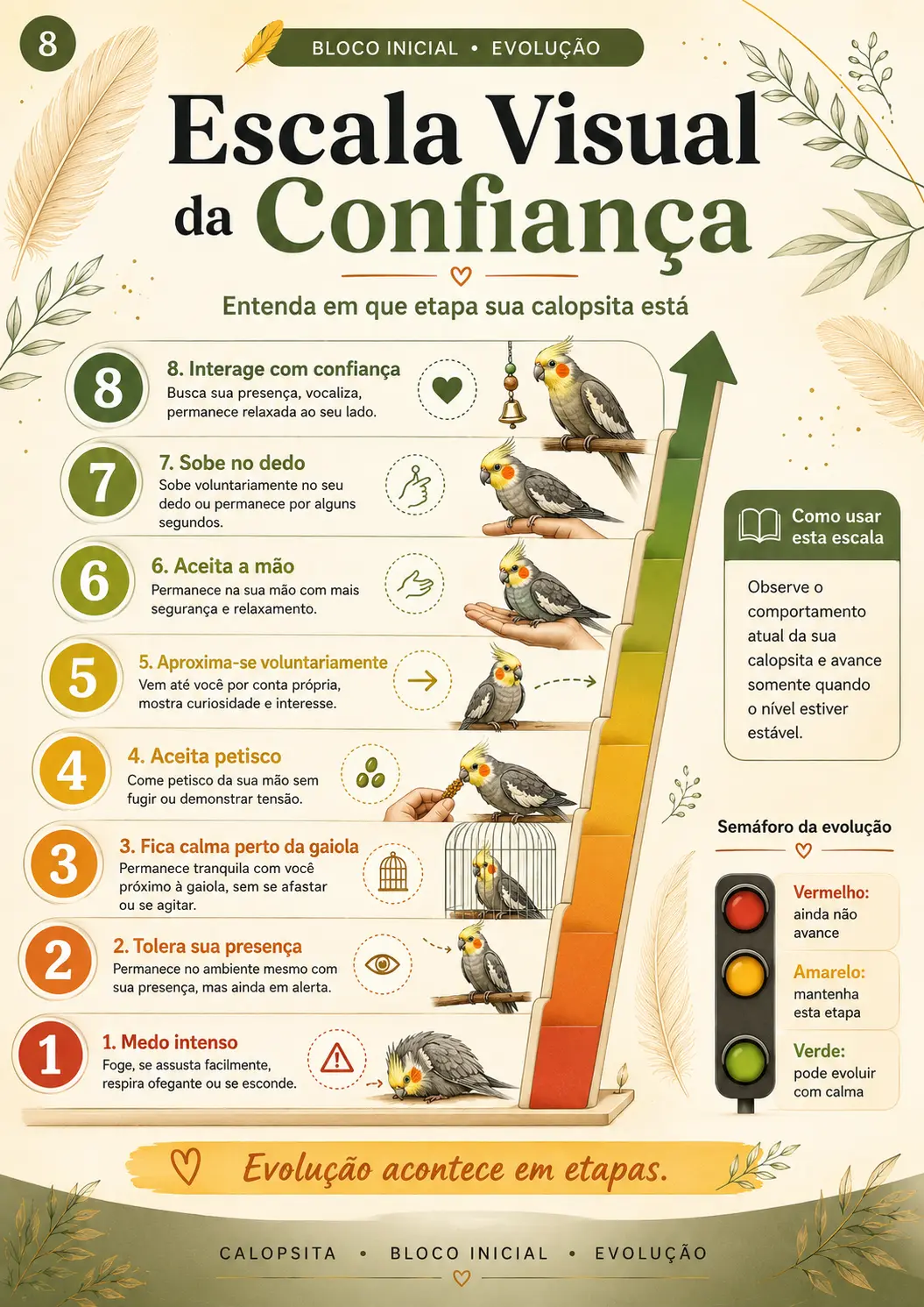 Escala visual da confiança em 8 etapas