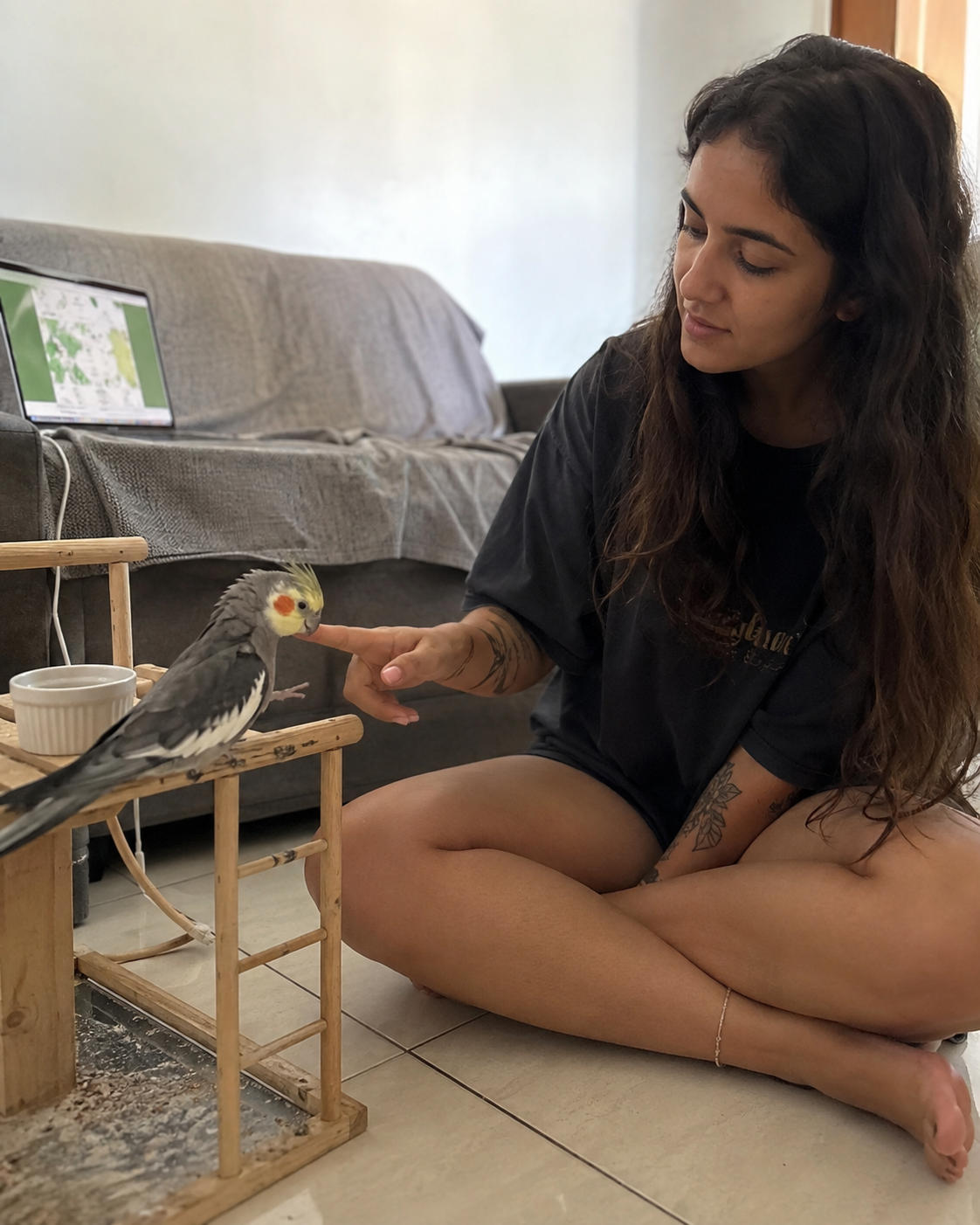 Calopsita encostando o bico no dedo da tutora durante a aproximação