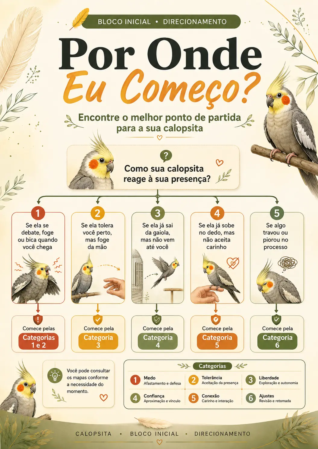 Página de direcionamento: por onde começar com a sua calopsita