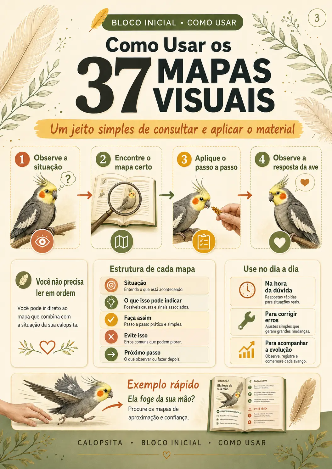 Página que explica como usar os 37 mapas visuais no dia a dia